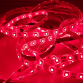 Taśma GERLED® Professional wodoodporna IP65 300 SMD 3528 1m CZERWONY