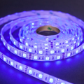 Taśma LED Economic wodoodporna 300 SMD 5050 1m RGB