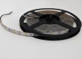 Taśma GERLED® Professional wodoodporna IP65 150 SMD 5050 1m BIAŁY ZIMNY