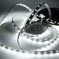 Taśma GERLED® Professional wewnętrzna 300 SMD 3528 1m BIAŁY ZIMNY 12500K