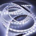 Taśma LED Economic wodoodporna 300 SMD 5050 1m BIAŁY ZIMNY