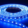 Taśma LED Economic wewnętrzna 300 SMD 5050 1m RGB
