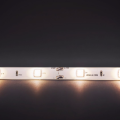  Taśma LED Economic wodoodporna 150 SMD 5050 1m BIAŁY CIEPŁY
