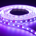 Taśma LED Economic wewnętrzna 300 SMD 5050 1m RGB