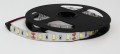 Taśma LED Economic wewnętrzna 300 SMD 5630 1m BIAŁY ZIMNY
