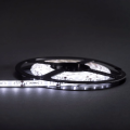 Taśma LED Economic wodoodporna 300 SMD 3528 1m BIAŁY ZIMNY