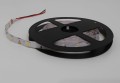 Taśma LED Economic wewnętrzna 150 SMD 5050 1m BIAŁY CIEPŁY