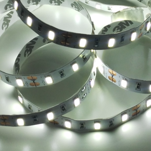Economic indoor LED strip 300 SMD 2835 1m COLD WHITE