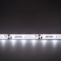 Taśma LED Economic 300 SMD 3528 1m BIAŁY ZIMNY