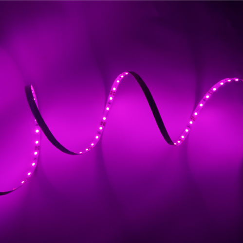 DSC07392-04.png