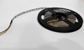 Taśma GERLED® Professional wewnętrzna 300 SMD 5050 1m ŻÓŁTY