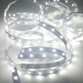 Taśma LED Economic 300 SMD 3528 1m BIAŁY ZIMNY