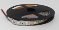  Taśma LED Economic wewnętrzna 300 SMD 5050 1m BIAŁY ZIMNY