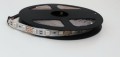 Taśma LED Economic wewnętrzna 300 SMD 5050 1m RGB