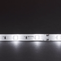 Taśma LED Economic wewnętrzna 150 SMD 5050 1m BIAŁY ZIMNY