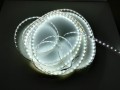 Taśma GERLED® Professional wewnętrzna 300 SMD 3528 1m BIAŁY ZIMNY