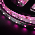 Taśma GERLED® Professional wewnętrzna 300 SMD 3528 1m FIOLETOWY 24V