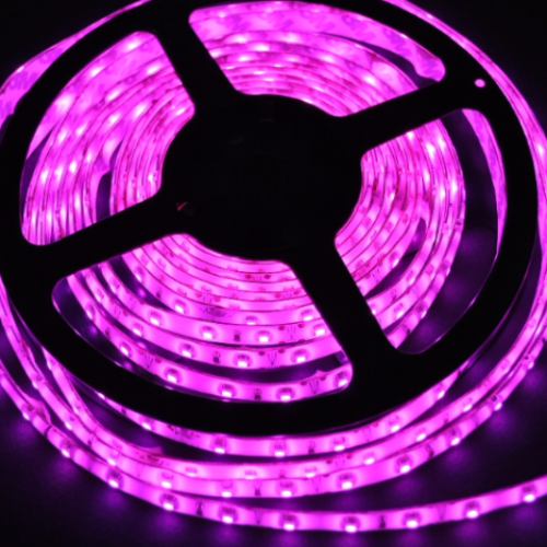 Taśma biała wodoodporna 300 LED kolor fiolet 