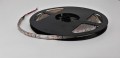 ip fiolet 3528.jpg