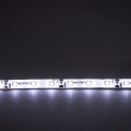 Taśma LED Economic wodoodporna 300 SMD 3528 1m BIAŁY ZIMNY