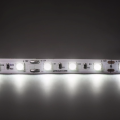  Taśma LED Economic wewnętrzna 300 SMD 5050 1m BIAŁY ZIMNY