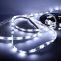 Taśma GERLED® Professional wewnętrzna 150 SMD 5050 1m BIAŁY ZIMNY 24V 
