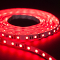 Taśma LED Economic wewnętrzna 300 SMD 5050 1m RGB