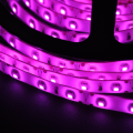 Taśma biała wodoodporna 300 LED kolor fiolet cwierc2 on - Kopia.jpg